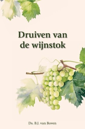 druiven-van-de-wijnstok.jpg