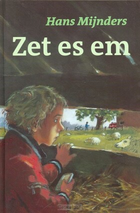 zet-es-em