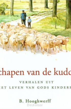 schapen-van-de-kudde