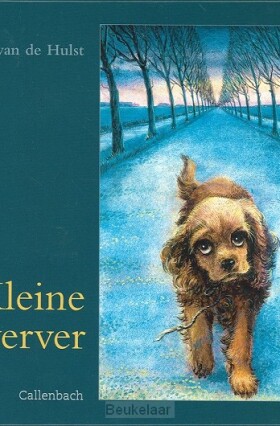 kleine-zwerver