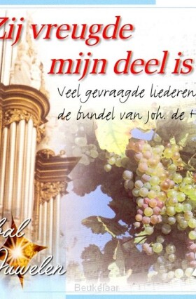 -t-zij-vreugde-mijn-deel-is