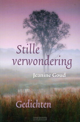 stille-verwondering