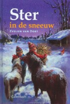 ster-in-de-sneeuw