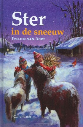 ster-in-de-sneeuw