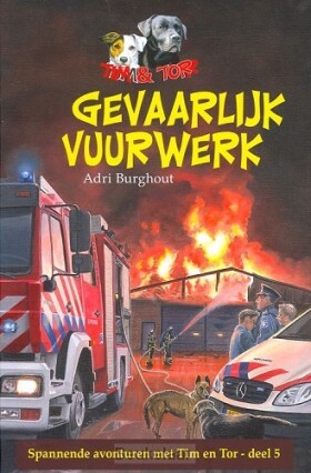 gevaarlijk-vuurwerk