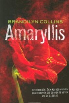 amaryllis