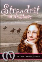 strandrit-in-de-storm