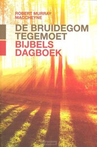 bruidegom-tegemoet