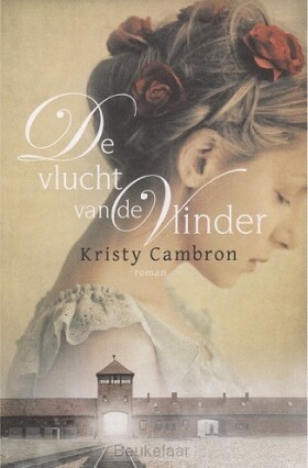 vlucht-van-de-vlinder