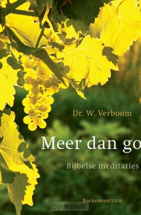 meer-dan-goud