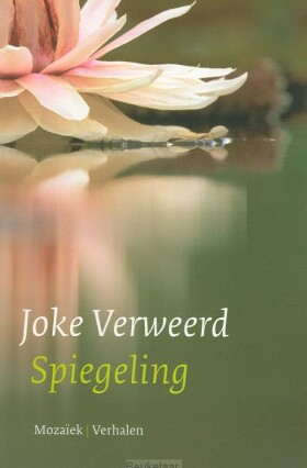 spiegeling-pod