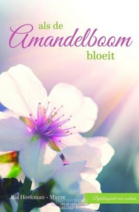 als-de-amandelboom-bloeit