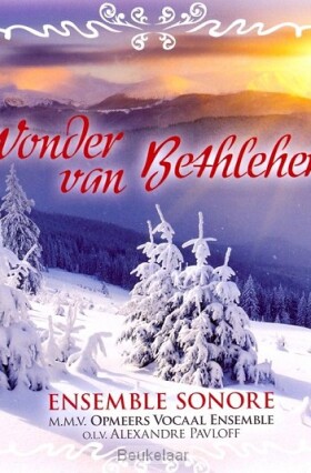 wonder-van-bethlehem