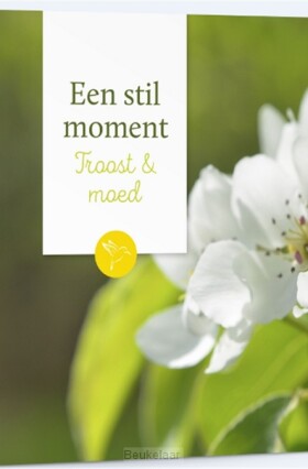 stil-moment-troost-en-moed