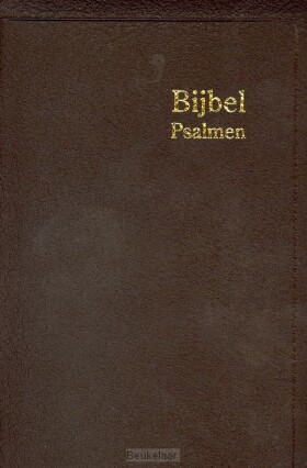 herenzakbijbel-h35r-ritmisch-leer-goudsn