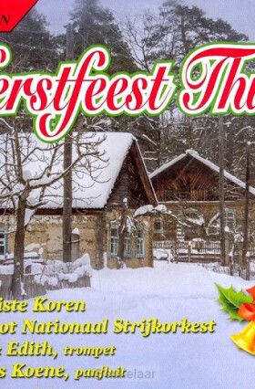 kerstfeest-thuis-4