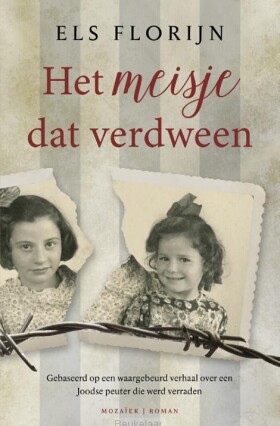meisje-dat-verdween