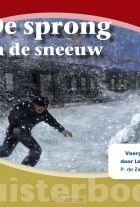 sprong-in-de-sneeuw-luisterboek