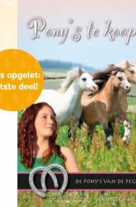 pony-s-te-koop-