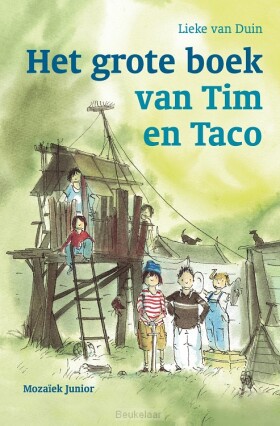 grote-boek-van-tim-en-taco