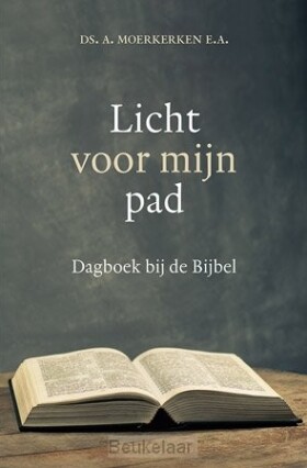 licht-voor-mijn-pad