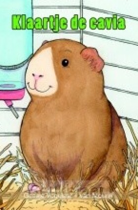 klaartje-de-cavia