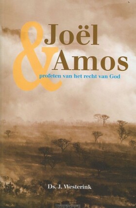 joel-en-amos
