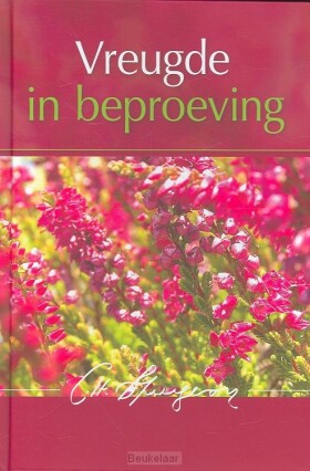 vreugde-in-beproeving