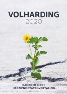 volharding-2020-dagboek