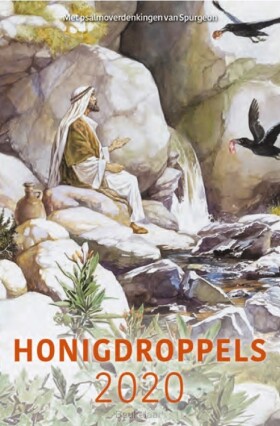 honigdroppels-2020-dagboek