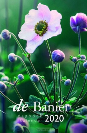 banier-2020-klein-dagboekkalender