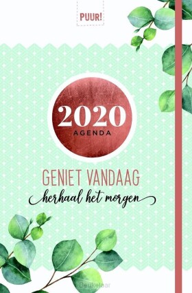 puur-agenda-2020