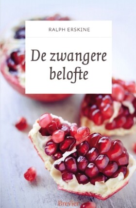 zwangere-belofte