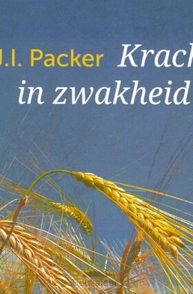 kracht-in-zwakheid