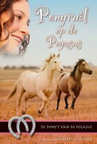 ponyruil-op-de-pegasus