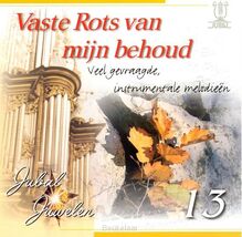vaste-rots-van-mijn-behoud