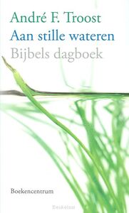 aan-stille-wateren-i