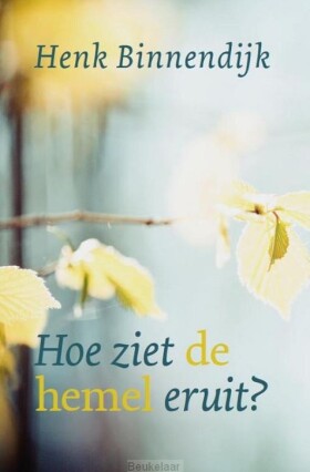 hoe-ziet-de-hemel-er-uit-