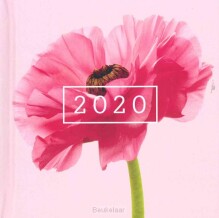 flora-medium-agenda