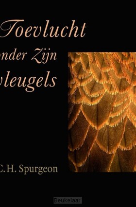 toevlucht-onder-zijn-vleugels