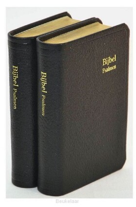 dameszakbijbel-d32r-ritmisch-leer-goudsn