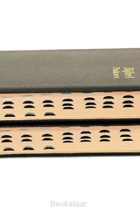 dameszakbijbel-d33r-ritmisch-kunstleer