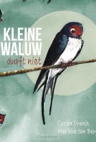 kleine-zwaluw-durft-niet