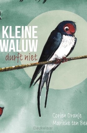 kleine-zwaluw-durft-niet