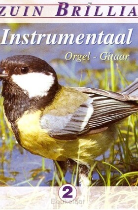 instrumentaal-orgel-gitaar