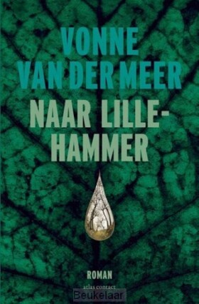 naar-lillehammer