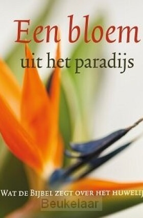bloem-uit-het-paradijs