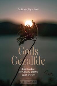 gods-gezalfde