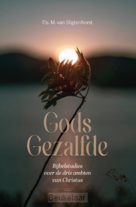 gods-gezalfde