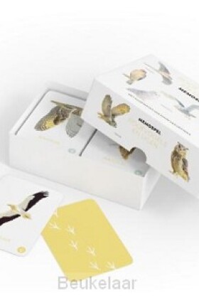 memospel-roofvogels-en-uilen